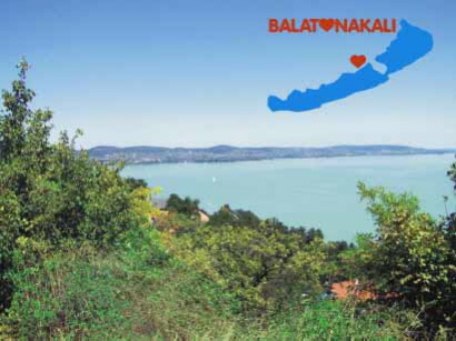 Blick von den Weingärten über Balatonakali.